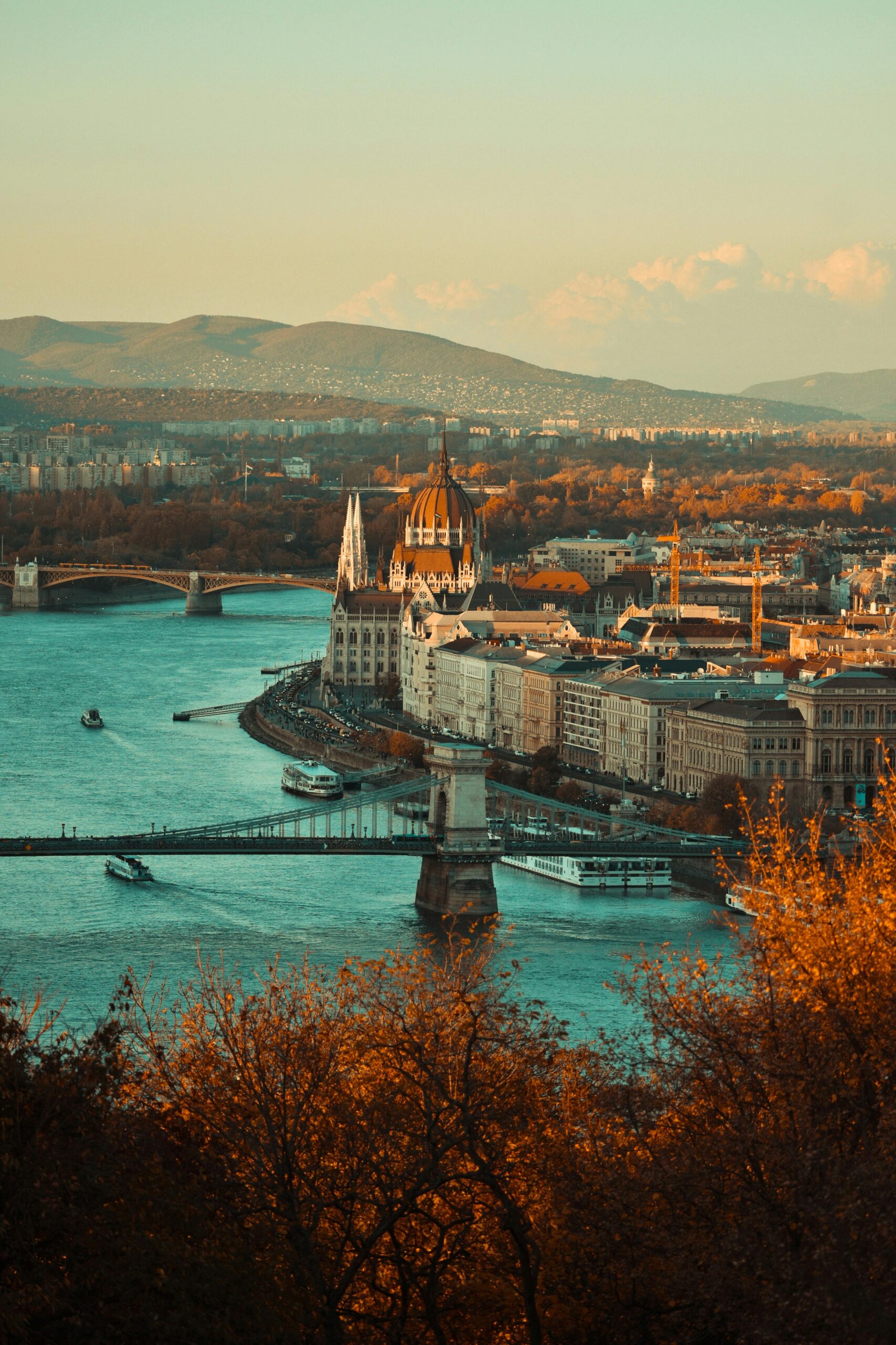 pexels-keszthelyit-2350351 pexels-keszthelyit-2350351
