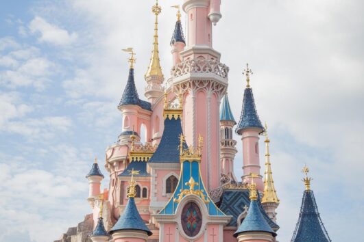 PARIZ I DISNEYLAND - 5 DANA ZRAKOPLOVOM