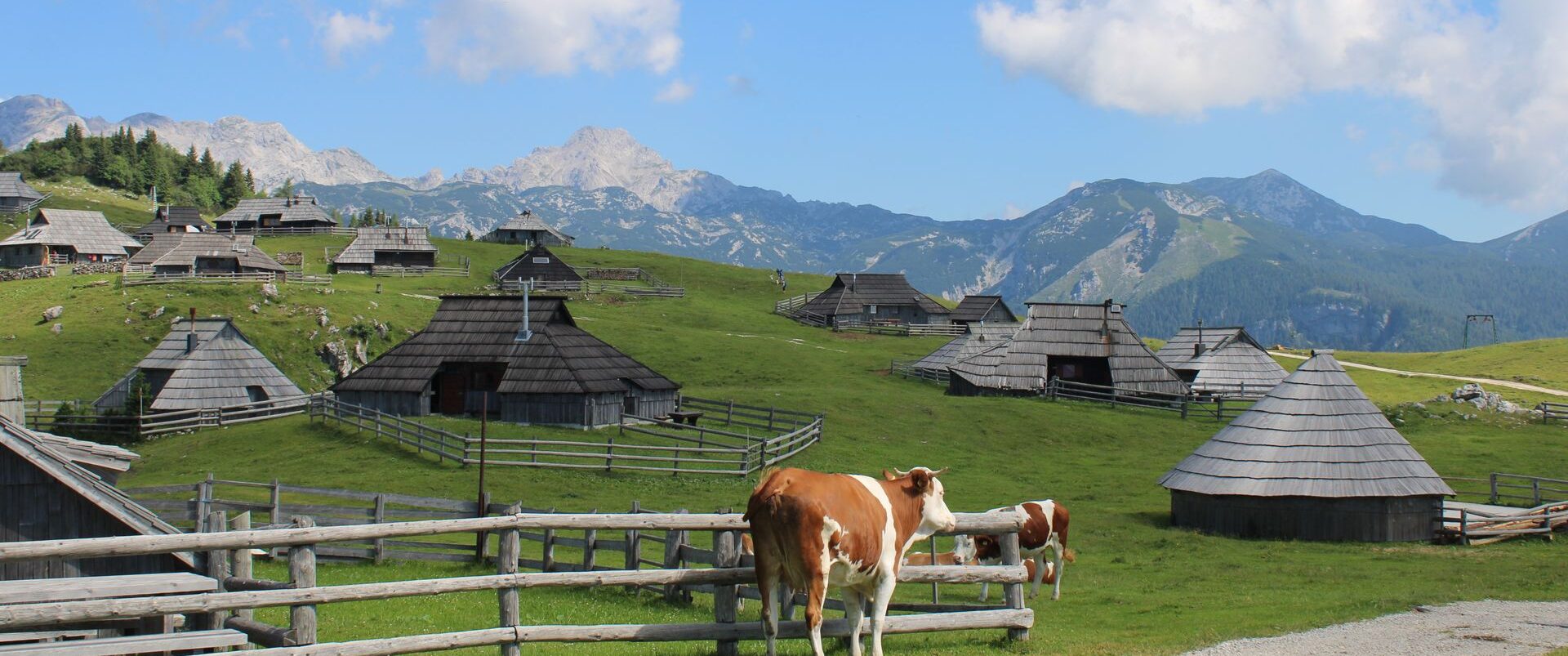 IZLET – VELIKA PLANINA